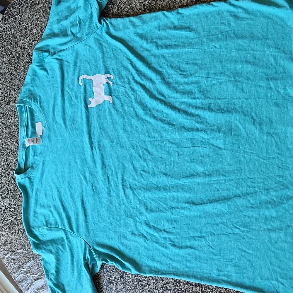 NEW Cat Lady Box 2X, Cat Ladies Are Crazy Cool short sleeve Teal tee